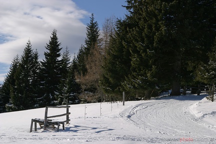 Schneeschuhwandern (20090104 0027)